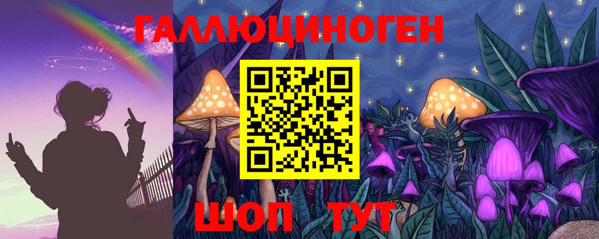 Псилоцибиновые грибы Psilocybe  Вход с VPN  Джанкой 